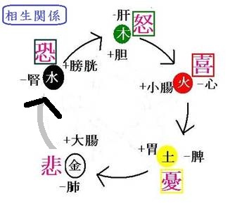 大阪枚方市の福本鍼灸院のガンの漢方的説明図